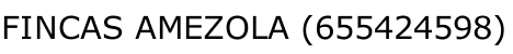 FINCAS AMEZOLA (655424598)